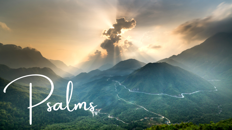 Psalm 6